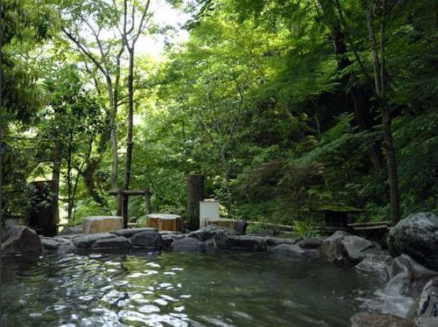 Hotel Nanpuso Hakone Bagian luar foto